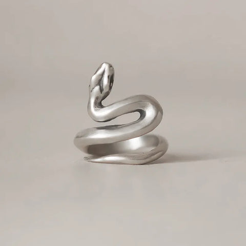 Y2K Silver Snake Ring